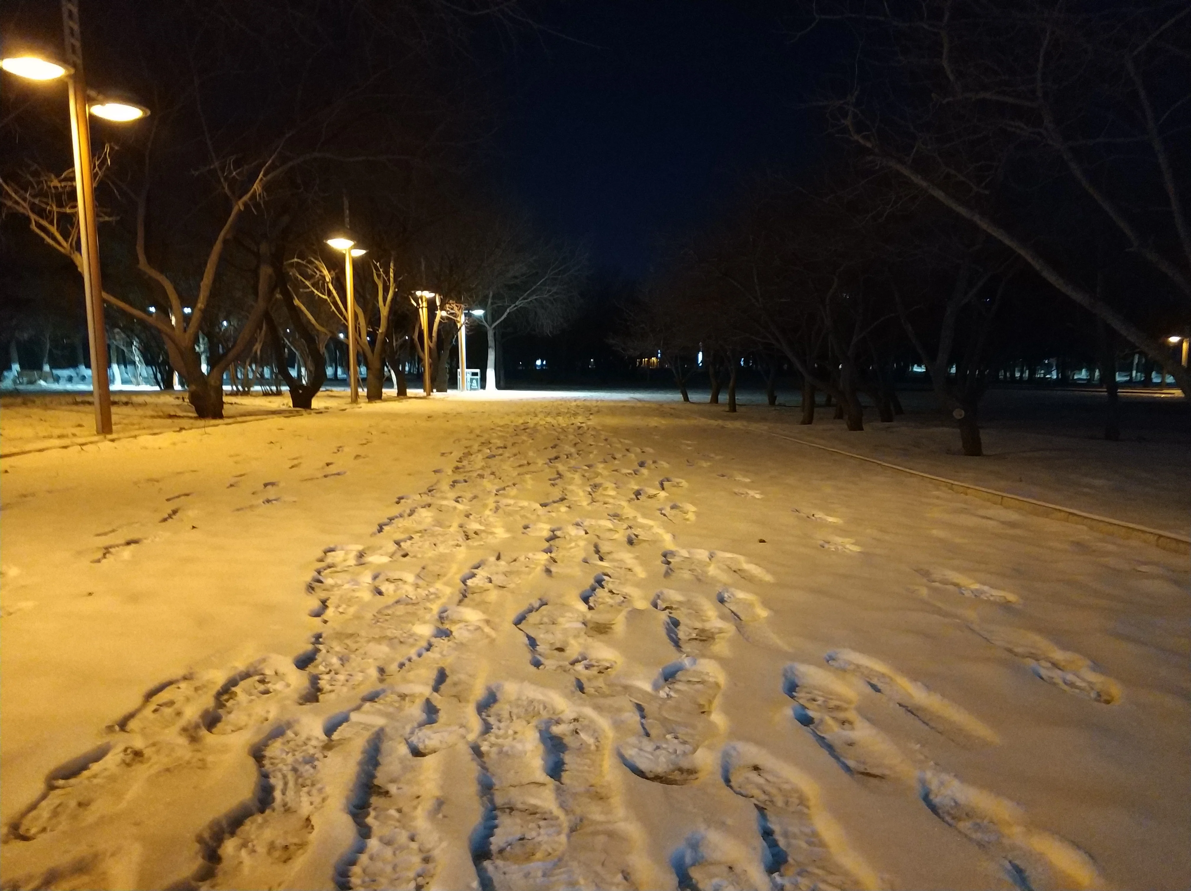 Night Road, Changchun